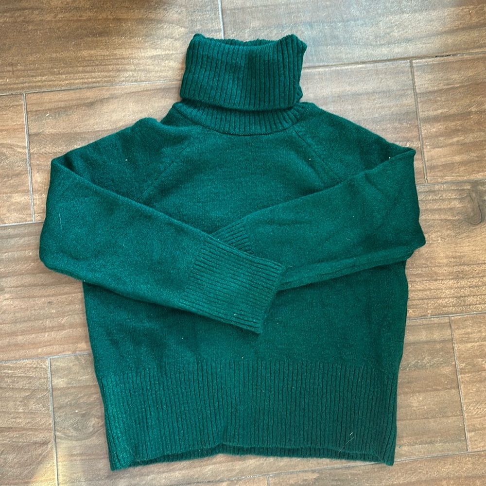 Zara turtle neck sweater